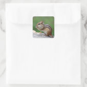 チプムン食べ物クのナッツ スクエアシール (バッグ)