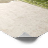 チベス ポスター (角)