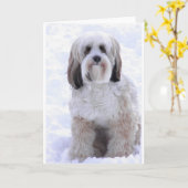 チベタンテリアのクロテンおよび白 カード (黄色い花)