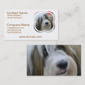 チベタンテリアの名刺 名刺 (正面/裏面)