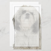 チベタンテリアの子犬のポートレート 便箋 (正面/裏面)