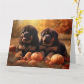 チベタン・マスティフの子犬 オータム・ディライト パンプキン カード (黄色い花)