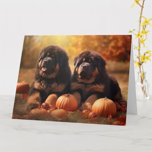 チベタン・マスティフの子犬 オータム・ディライト パンプキン カード (黄色い花)