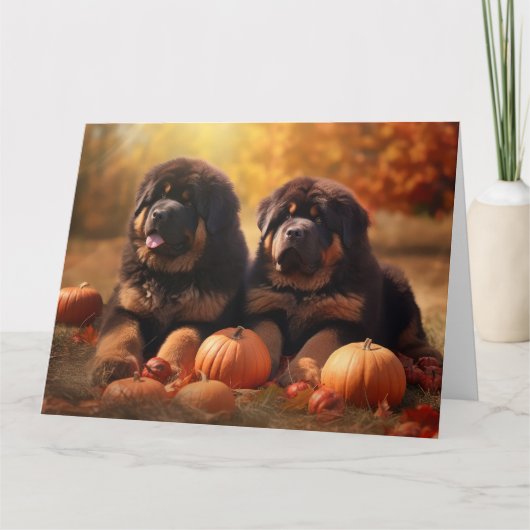 チベタン・マスティフの子犬 オータム・ディライト パンプキン カード (正面)