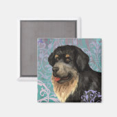 チベッエレガントトマスチフ磁石 マグネット (正面/裏面)