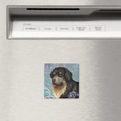 チベッエレガントトマスチフ磁石 マグネット (インサイチュ (食洗機))