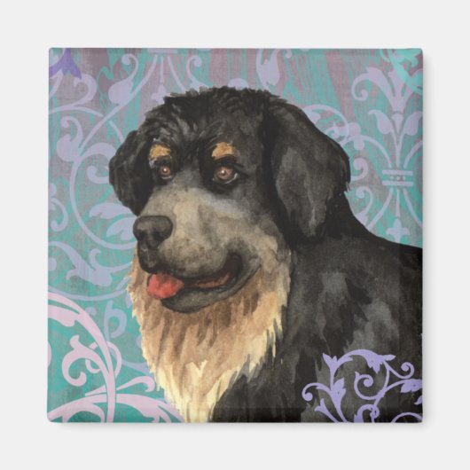 チベッエレガントトマスチフ磁石 マグネット (正面)