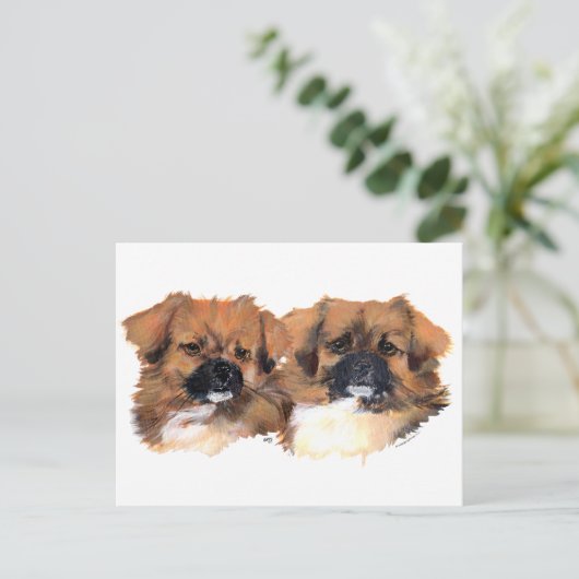 チベットのスパニエル犬の頭部の勉強 ポストカード (スタンド正面)