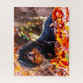 チベットのスパニエル犬犬ジグサウ。 ジグソーパズル (縦)