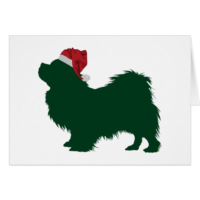 チベットのスパニエル犬 (正面横)