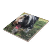 チベットのテリアの陶材瓦 タイル (側面)