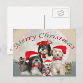チベットのテリアクリスマスと友人 シーズンポストカード (正面/裏面)
