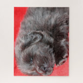 チベットのマスティフ犬ジグサウ。 ジグソーパズル (縦)