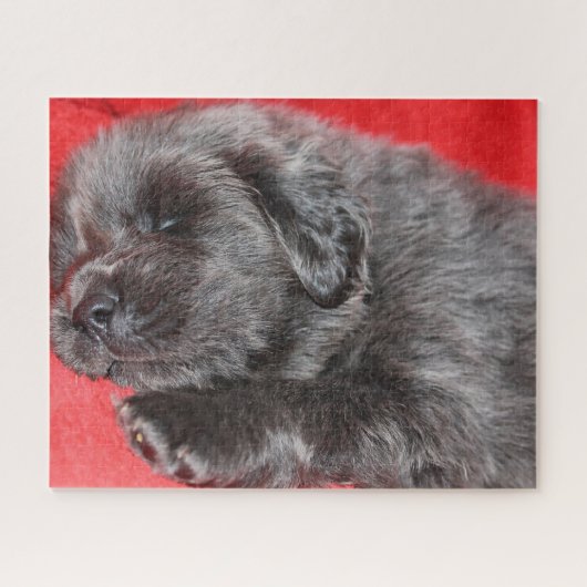 チベットのマスティフ犬ジグサウ。 ジグソーパズル (横)