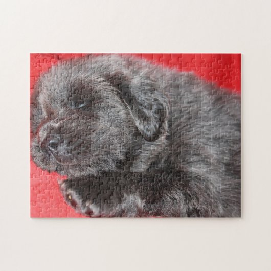 チベットのマスティフ犬ジグサウ。 ジグソーパズル (横)