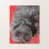 チベットのマスティフ犬ジグサウ。 ジグソーパズル (縦)