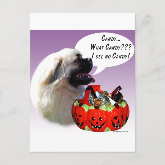 チベットスパニエル犬ハロウィンキャンディ ポストカード (正面)