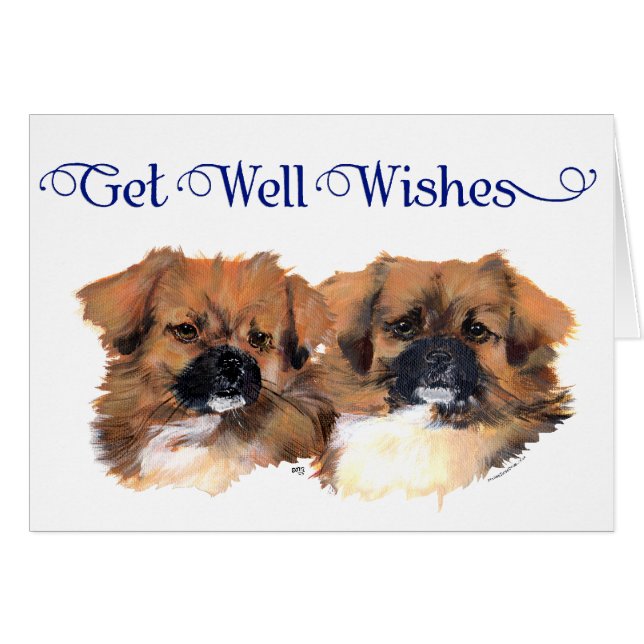 チベットスパニエル犬ヘッド勉強 (正面横)