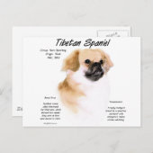 チベットスパニエル犬履歴デザイン ポストカード (正面/裏面)