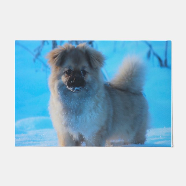 チベットスパニエル犬犬。 ドアマット (正面)