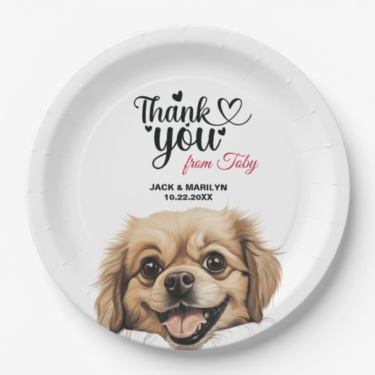 チベットスパニエル犬 ペーパープレート (正面)