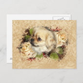 チベットスパニエル犬 ポストカード (正面/裏面)