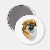 チベットスパニエル犬 マグネット (正面/裏面)