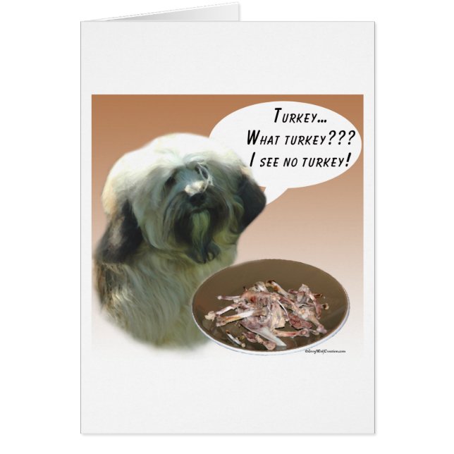 チベットテリアトルコ (正面)