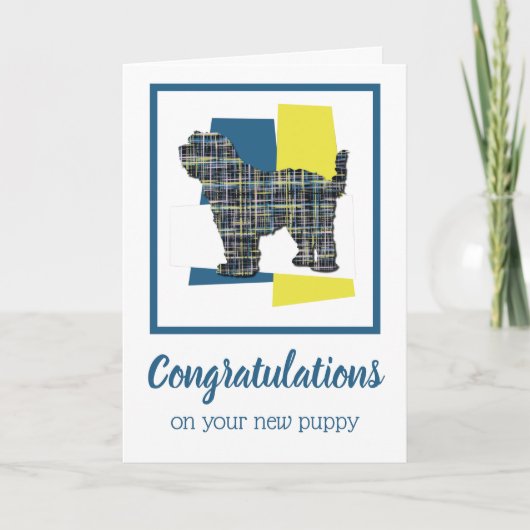 チベットテリアパピードッグおめでとう カード (正面)