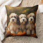 チベットテリアパピー秋デライトカボチャ クッション (ブランケット)