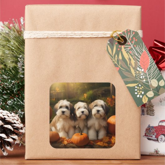 チベットテリアパピー秋デライトカボチャ スクエアシール (クリスマス)