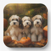 チベットテリアパピー秋デライトカボチャ ペーパープレート (正面)