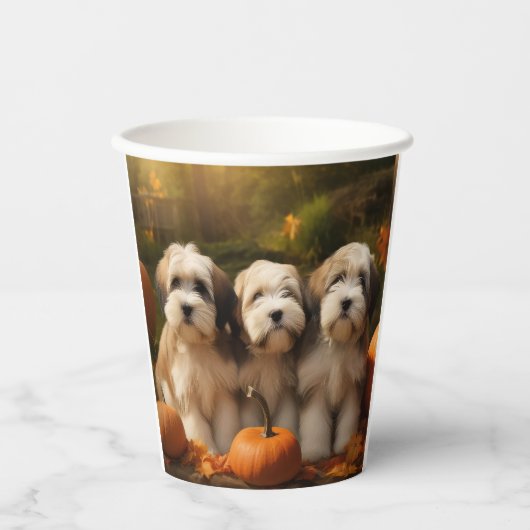 チベットテリアパピー秋デライトカボチャ 紙コップ (正面)