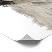 チベットテリアパピー ポスター (角)