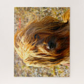 チベットテリア犬ジグサウ。 ジグソーパズル (縦)