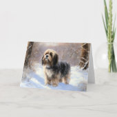 チベットテリア雪のクリスマスを許可 カード (正面)