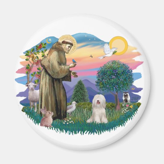 チベットテリア（白） マグネット (正面)