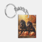 チベットマスチフパピー秋デライトカボチャ キーホルダー (正面左)