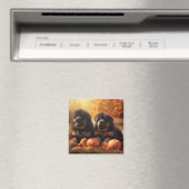 チベットマスチフパピー秋デライトカボチャ マグネット (インサイチュ (食洗機))