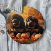 チベットマスチフパピー秋デライトカボチャ 缶バッジ (インサイチュ)