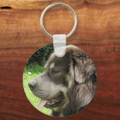 チベットマスチフ.png キーホルダー (正面)