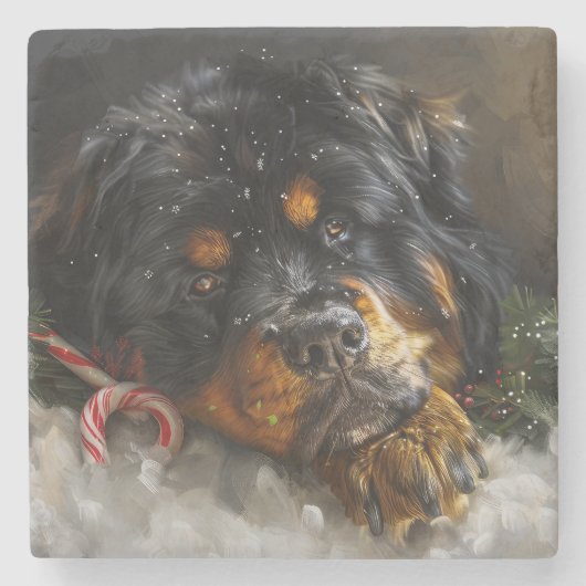 チベットンマスティフ犬 クリスマス祭 ストーンコースター (正面)