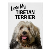 チベットン・テリアの愛犬の肖像 ポスター (正面)