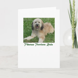 チベット規則のノートカード カード