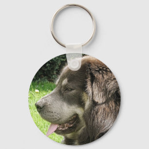 チベット語mastiff.png キーホルダー