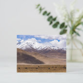 チベット - ヤクがいる山の風景 ポストカード (スタンド正面)
