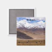 チベット – 山の風景とヤク マグネット (正面/裏面)