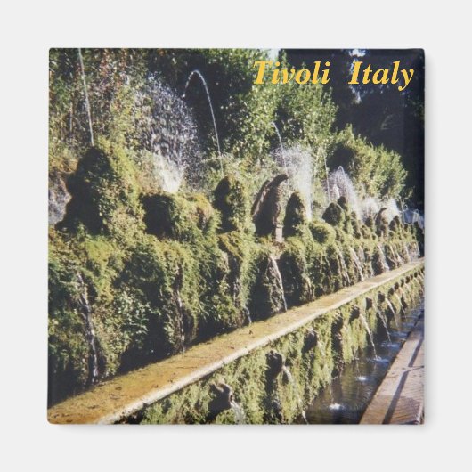 チボリ冷蔵庫用マグネット マグネット (正面)