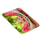 チマンクス食べ物スイカ マグネット (右側)