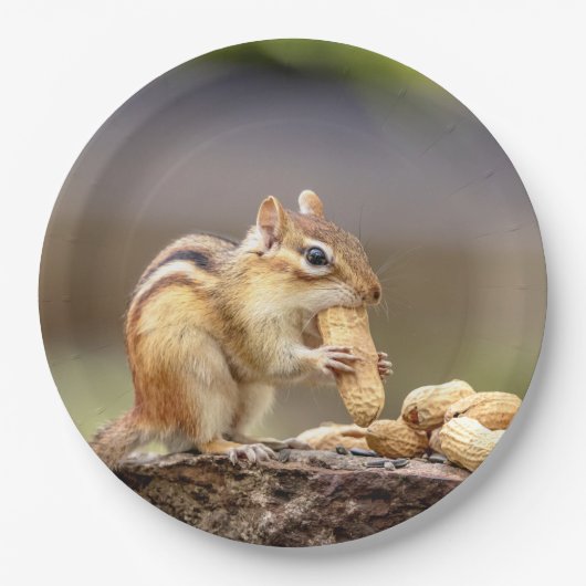 チマンク食べ物·ピーナッツ ペーパープレート (正面)